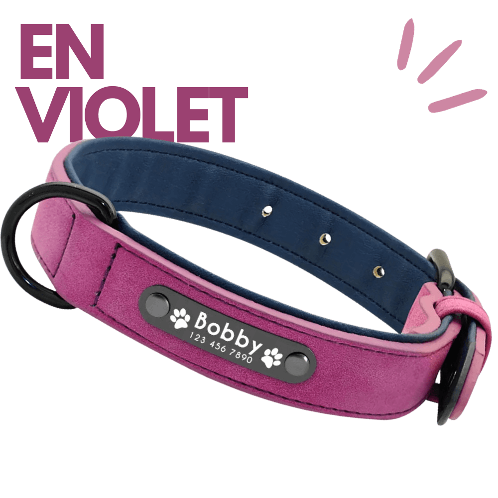 collier personnalisable pour chien en violet Keleby