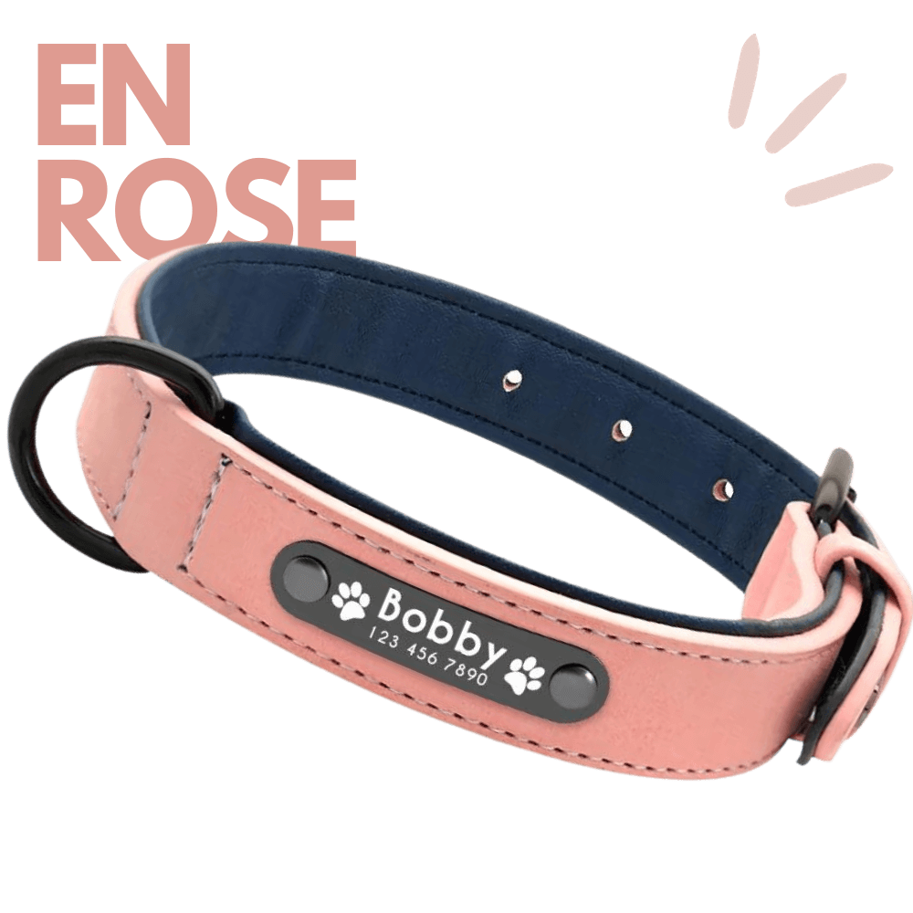 collier personnalisable pour chien en rose Keleby