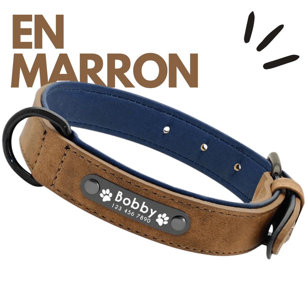 collier personnalisable pour chien en marron Keleby