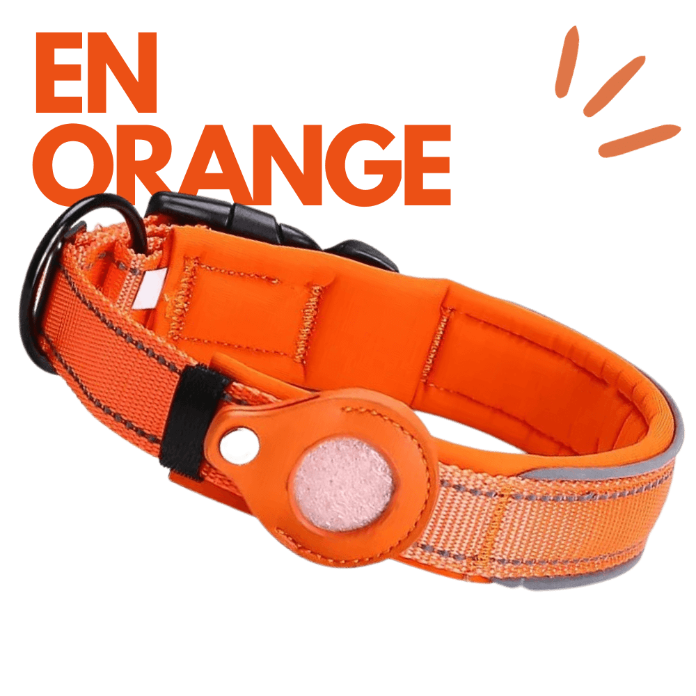 collier anti-perte pour chien en orange Keleby