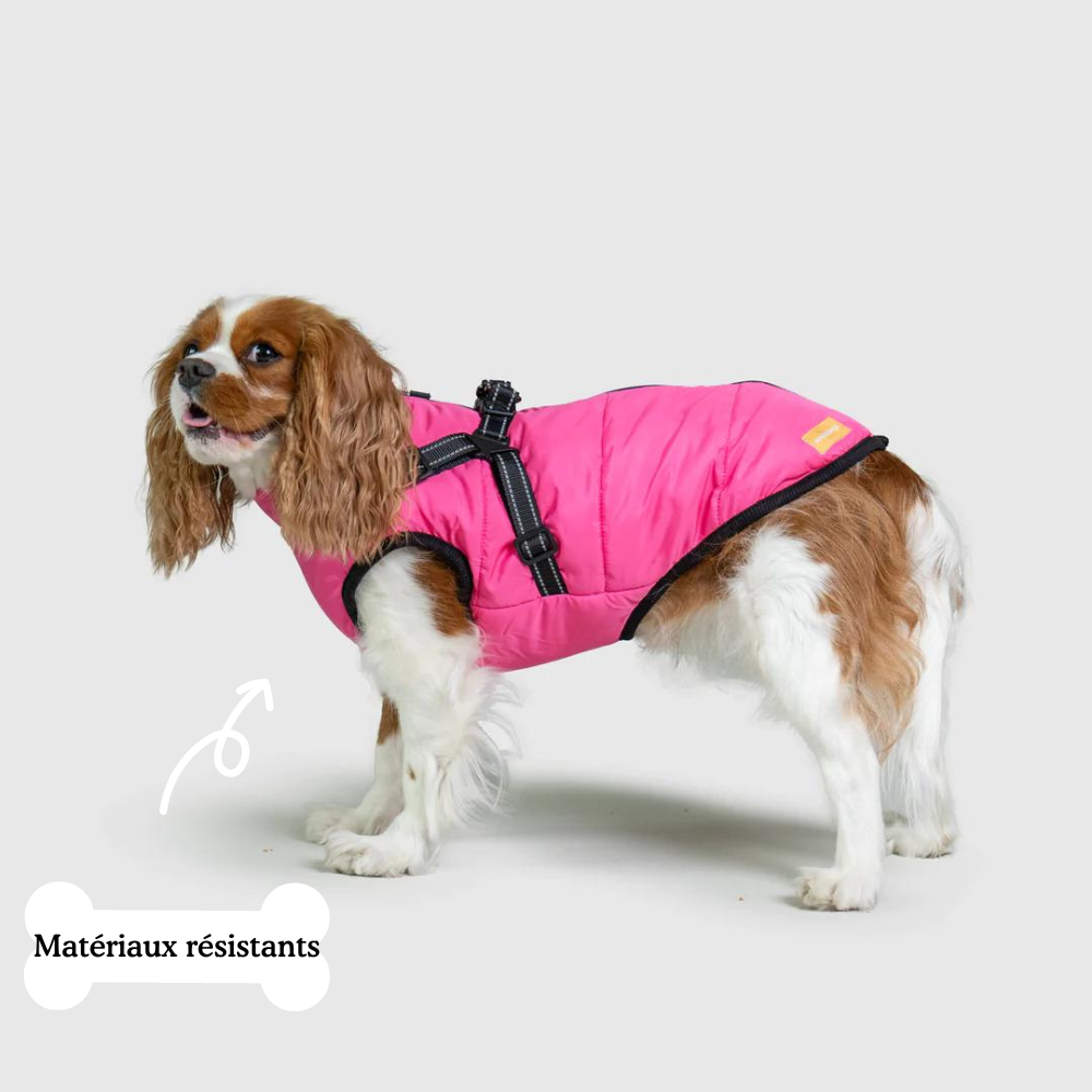 Harness coat