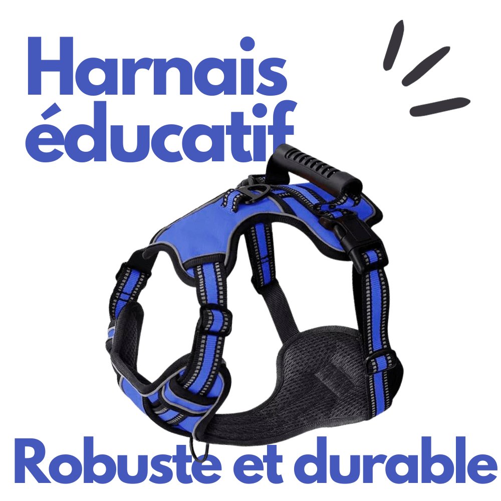 Keleby⎜Harnais éducatif - Keleby